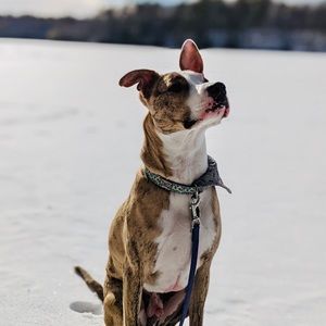 Meet your Posher, Zoe